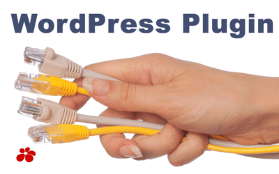 Das WordPress Plugin, der Held jeder Website