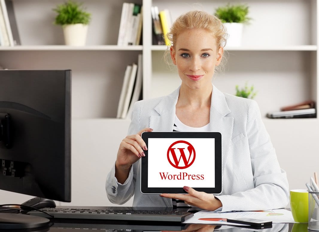 WordPress WordPress