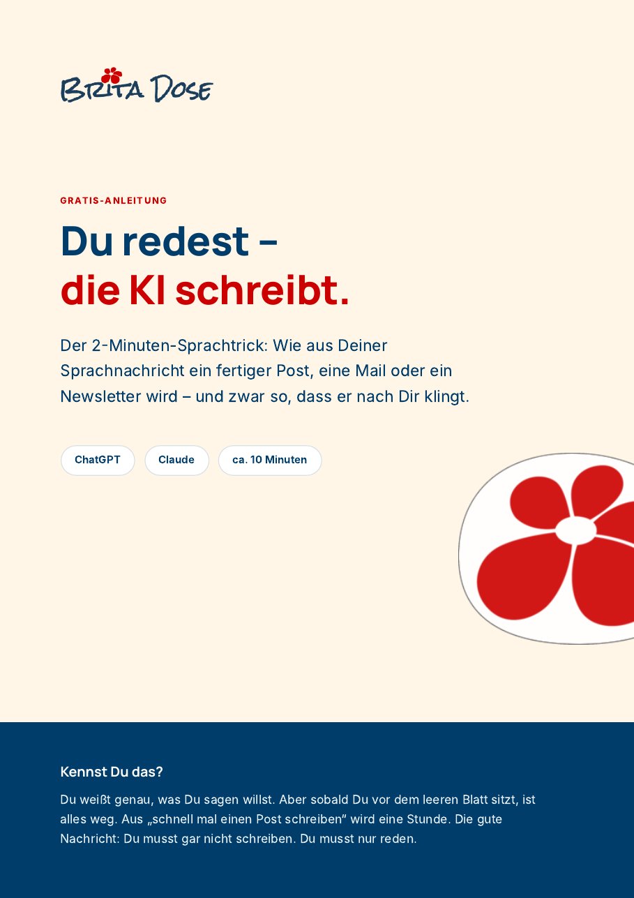 Titelseite der Gratis-Anleitung: Du redest, die KI schreibt.
